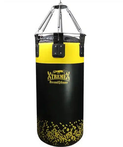 XtremeX
