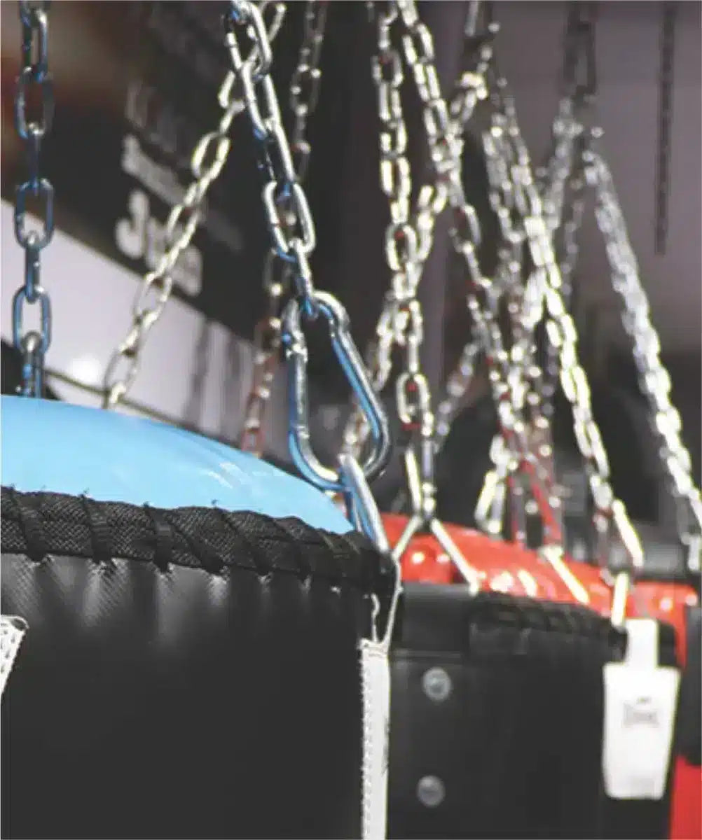 PUNCHING BAG (IRON CHAIN)